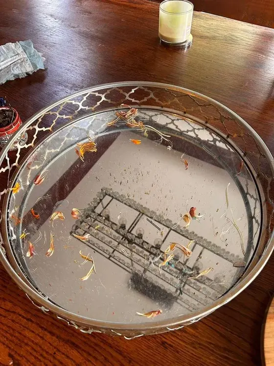 Counter tray before cleaning