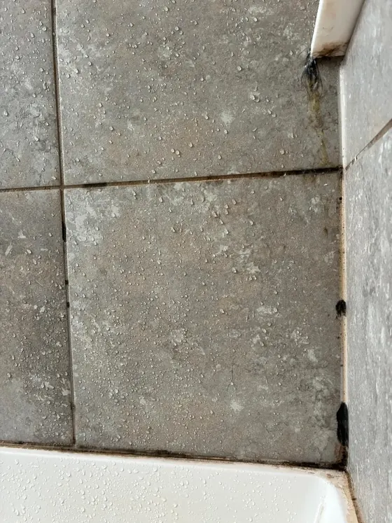 Shower grout before cleaning
