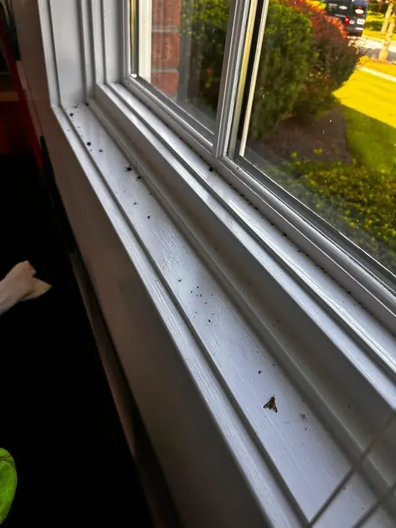 Window track before cleaning