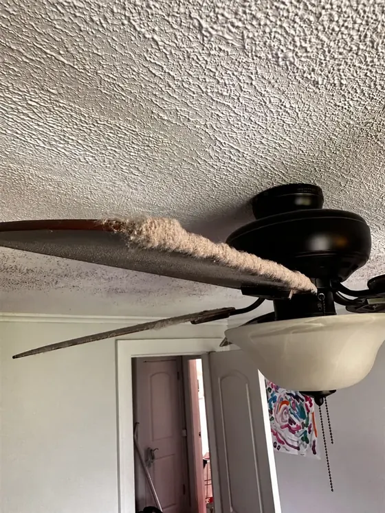 Ceiling fan before cleaning